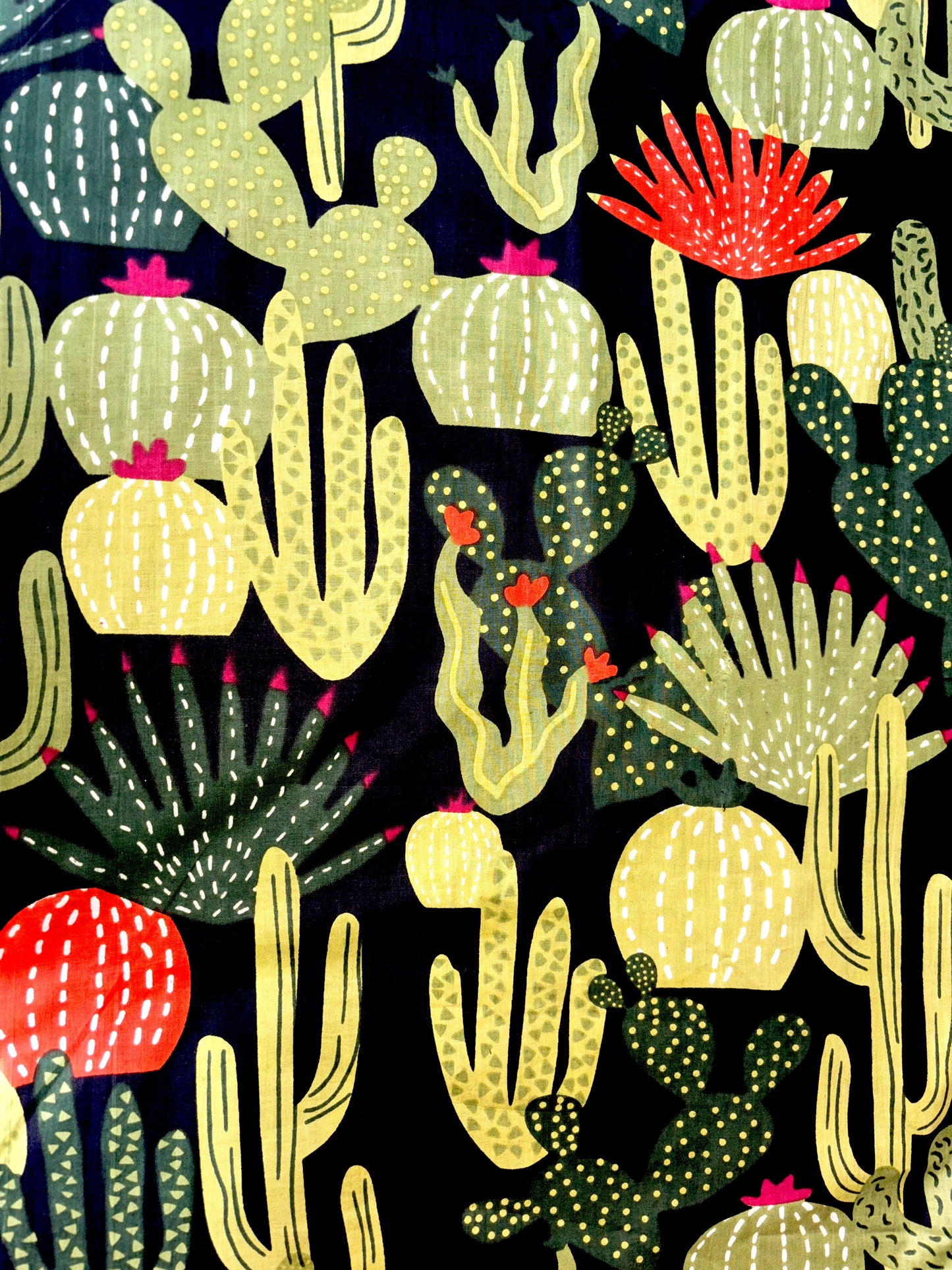 Black Pure Cotton Cambric Printed Fabrics, Colorful Cactus Print, Floral