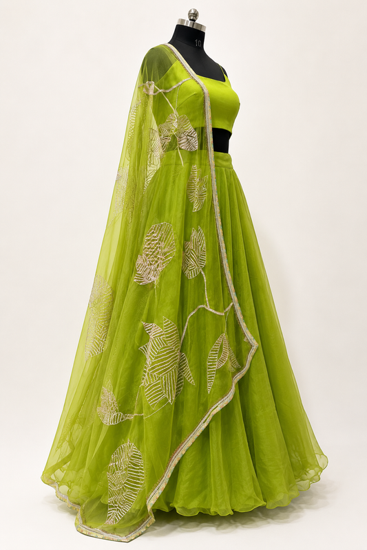 Olive Green Organza Lehenga,  Indian Wedding Wear, Hand Embroidered Dupatta/ Stole